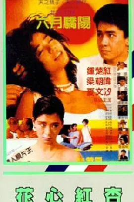 bt自拍另类综合欧美